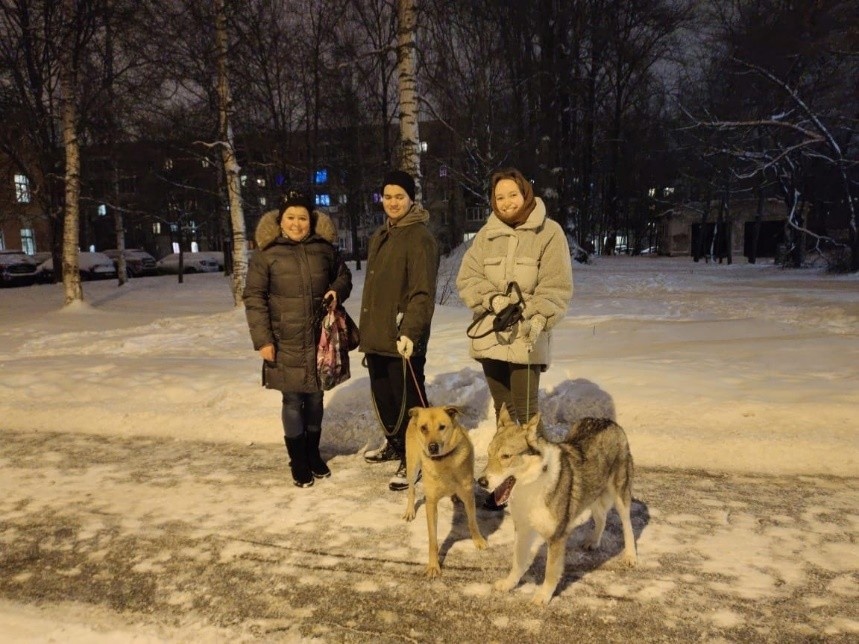 Студенты СПбГИПСР оказали благотворительную помощь приюту для бездомных животных "Пушдомик"